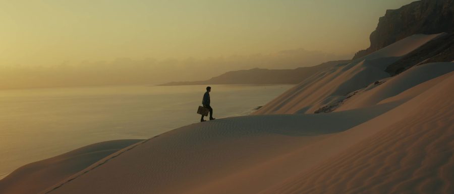 Immersion Creative LUTs by Sam Newton