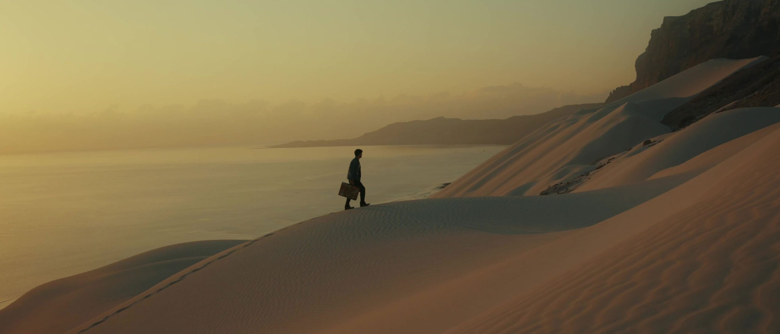 Immersion Creative LUTs by Sam Newton